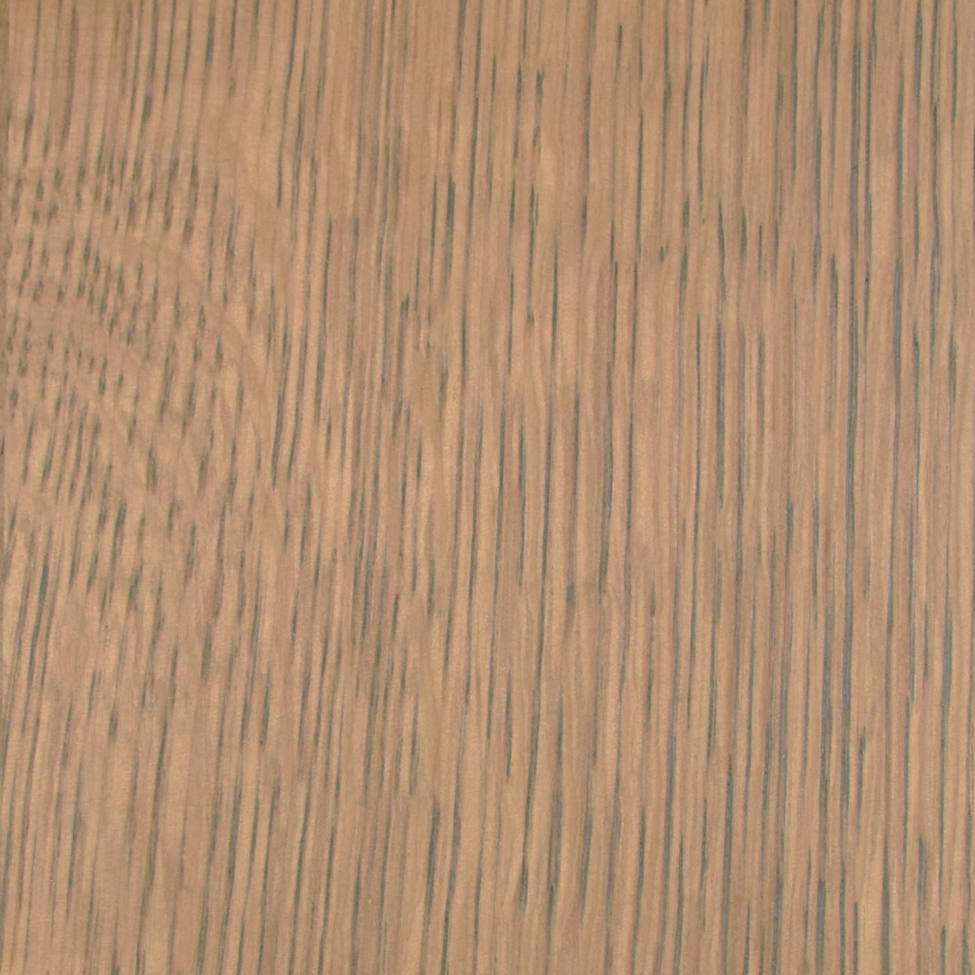 W+_Rift_Quartered-Basset Rift & Quartered - Basset - Wellborn + Wright