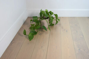 Adelle on Plain sawn White Oak